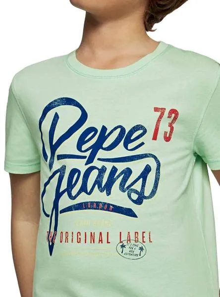 camiseta pepe jeans abadie verde para niño