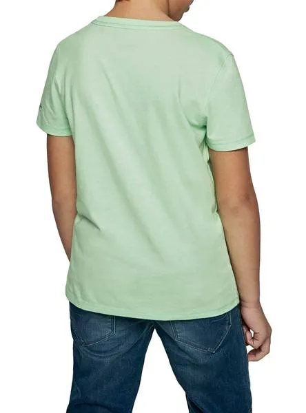 camiseta pepe jeans abadie verde para niño